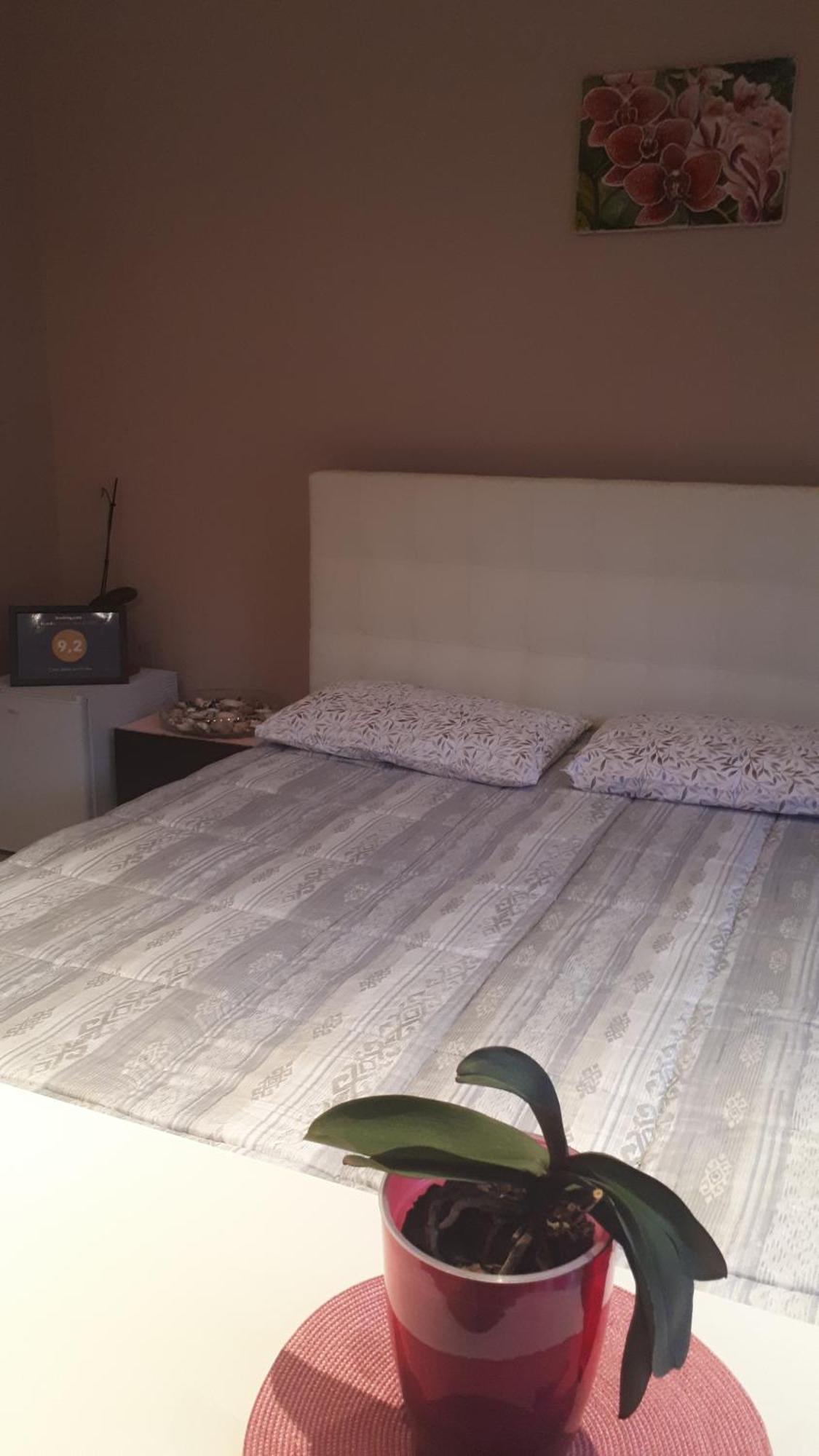 Casa Delle Orchidee Hotel Alba  Room photo